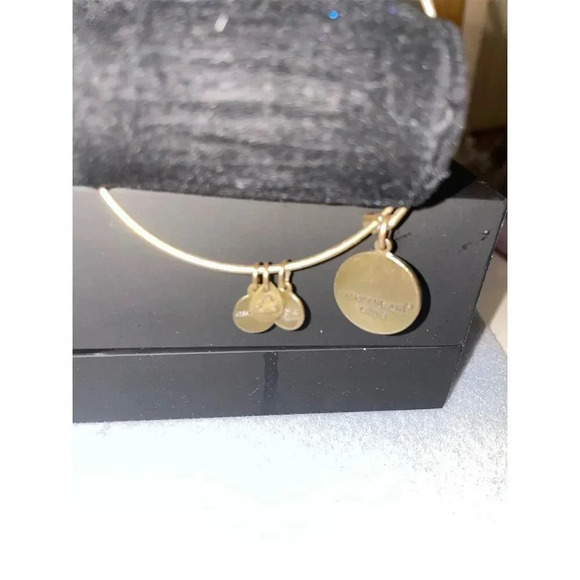 - Alex and Ani Initial "L" Expandable Wire Bangle with  Rafaelian Gold finish - Picture 4 of 8